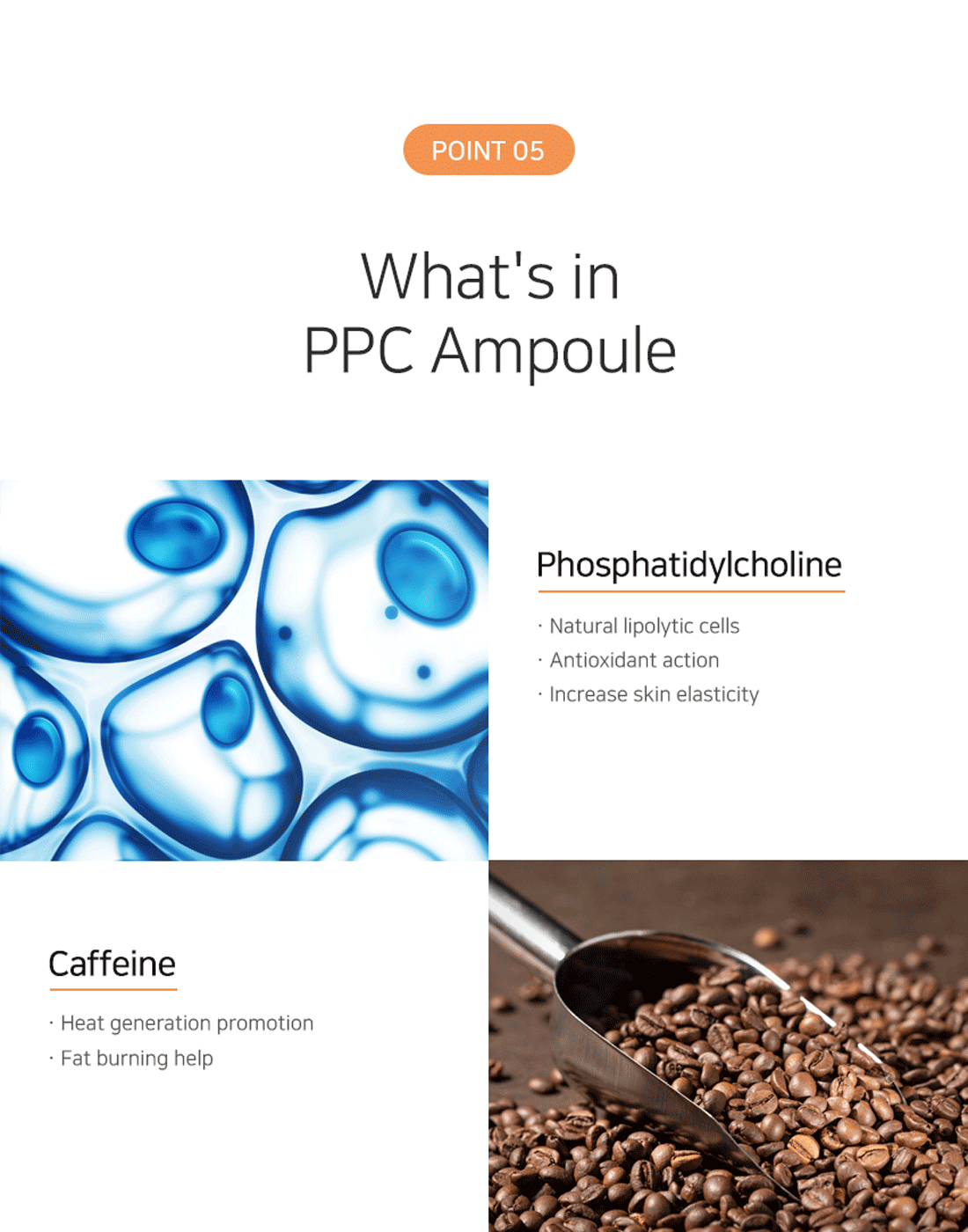Matrigen PPC Ampoule 