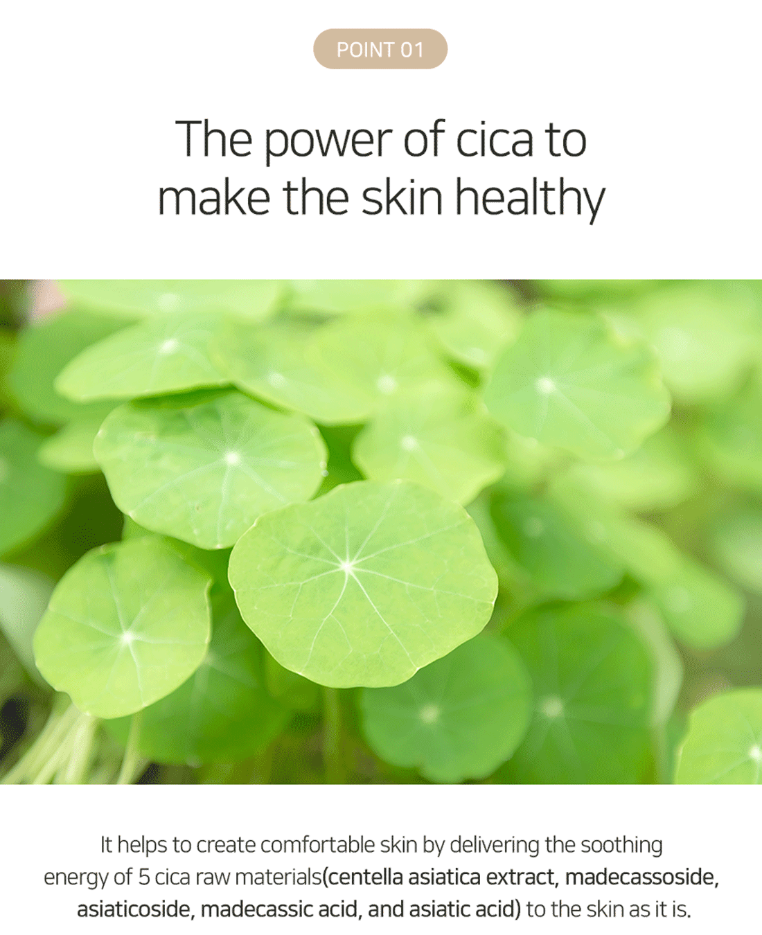 Matrigen Multi Oxygen Cream 50ml