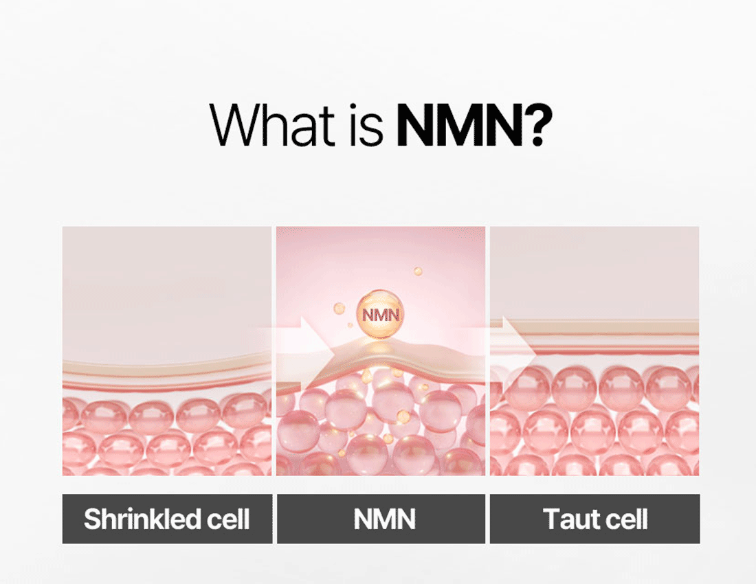 Matrigen NMN Refine Toner Pad