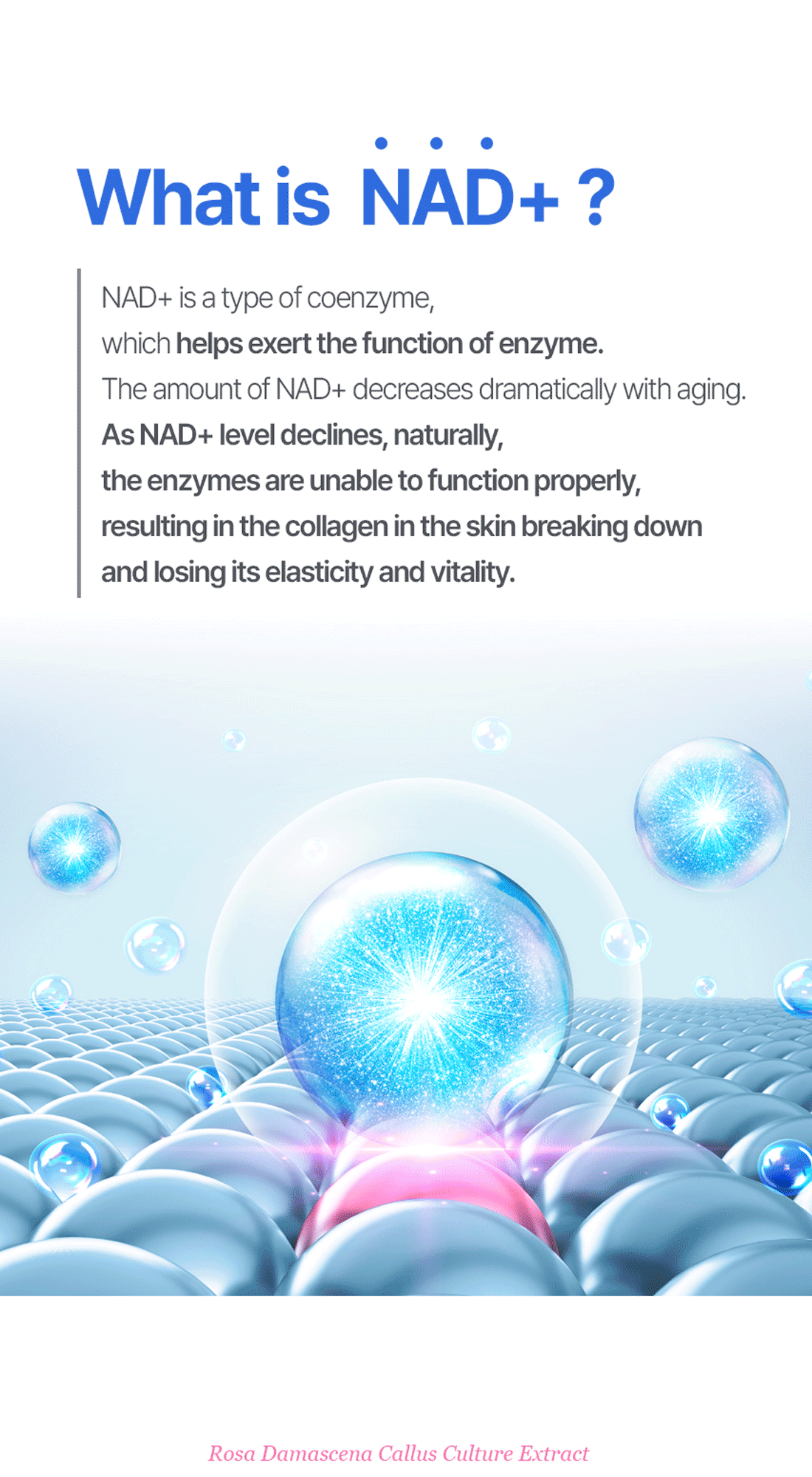 Matrigen NMN Cell Recovery Ampoules