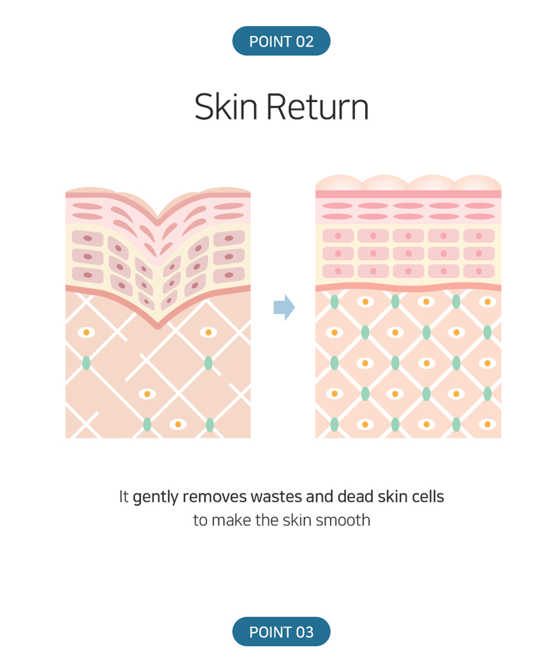 Matrigen B-TOX Peel Treatment Professional